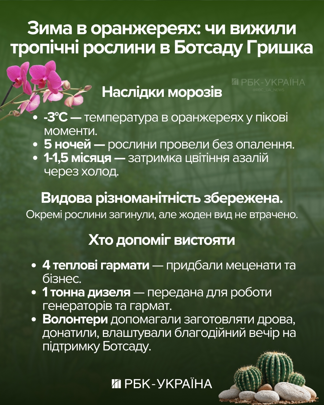 Чи цвістиме бузок та азалії? У Ботсаду Гришка розповіли про наслідки критичної зими